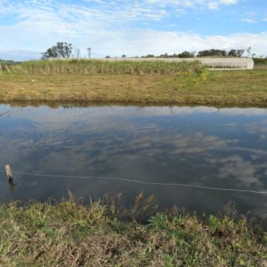 SÍTIO EM ROLANTE / 6,4 hectares, 4 açudes, horta, 3 galpões, chalé com 3 quartos