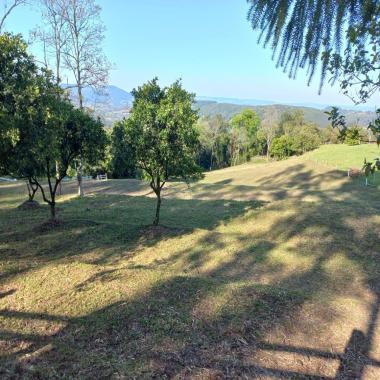 CHÁCARA EM ROLANTE / cercada e com árvores frutíferas (44,4x200m)