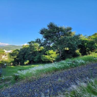 TERRENO AMPLO COM VISTA PARA A CIDADE DE ROLANTE / (16,5 x 45) 742,5 m²
