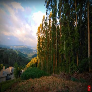 SÍTIO A VENDA EM ROLANTE / na fazenda Fleck em Rolante - RS