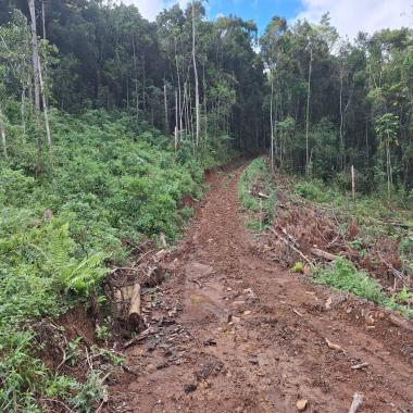 SÍTIO DE 1 HECTARE EM RIOZINHO / a oportunidade para viver junto da natureza