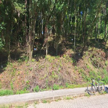 TERRENOS EM RIOZINHO CENTRO / próximo a cascatas, em meio a natureza 627m²
